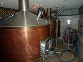 Bild (11)